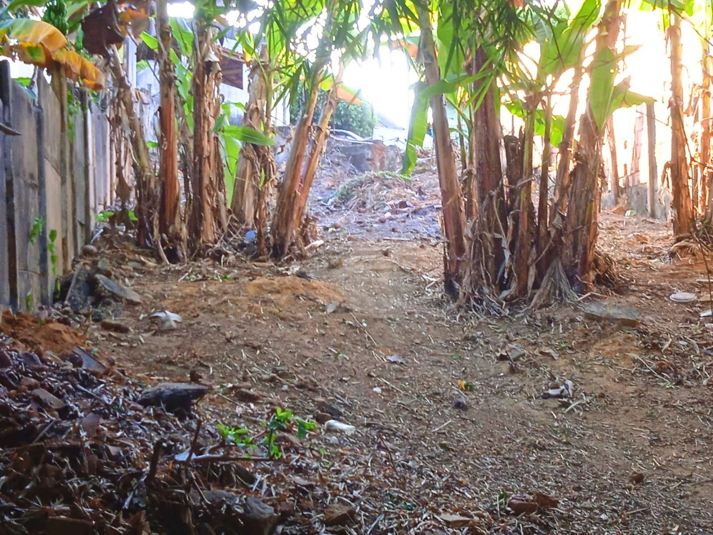 Lote em Natividade – Bairro Liberdade | Rio de Janeiro